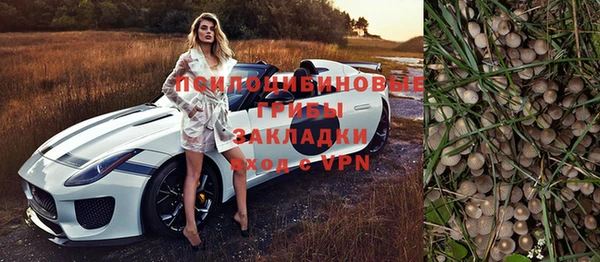 гашик Алзамай